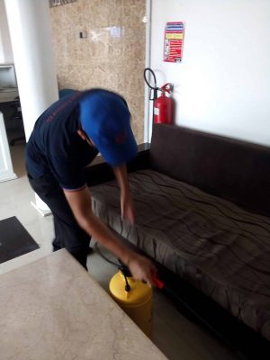 bed_bug_3-scaled-1 bed_bug_3-scaled-1